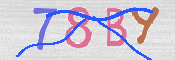 CAPTCHA-Bild