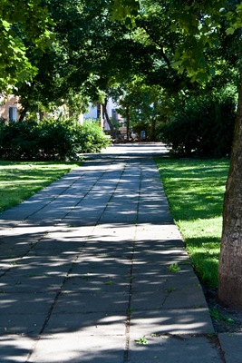 IMG_5732 IMG_5732