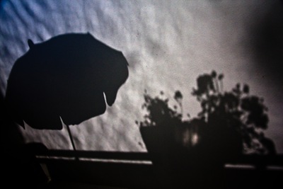 IMG_6618f IMG_6618f