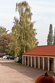 IMG_9780