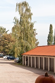 IMG_9781