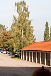 IMG_9782