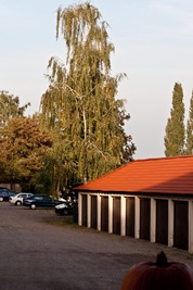 IMG_9783