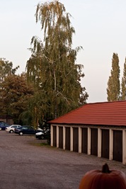 IMG_9784