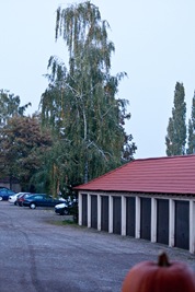 IMG_9786