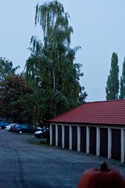 IMG_9787