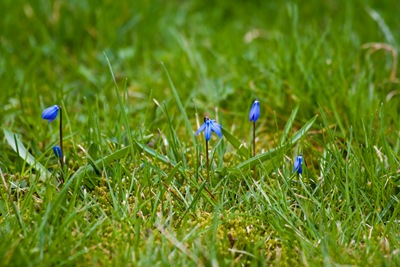 IMG_2325