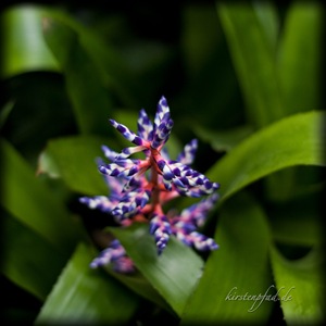_MG_5756