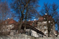 IMG_0616