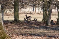 IMG_0645