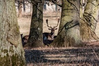 IMG_0647