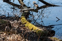 IMG_0653