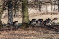 IMG_0669