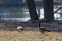 IMG_0679