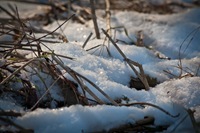 _MG_9953