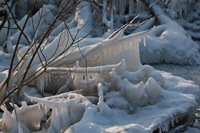 _MG_9968