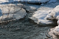 _MG_9970