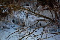 _MG_9979