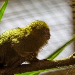 IMG_2606