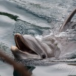 IMG_2695