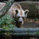 IMG_2724